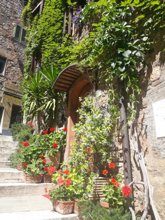 La Piazzetta Toscana B&B Кампилья-Мариттима Экстерьер фото